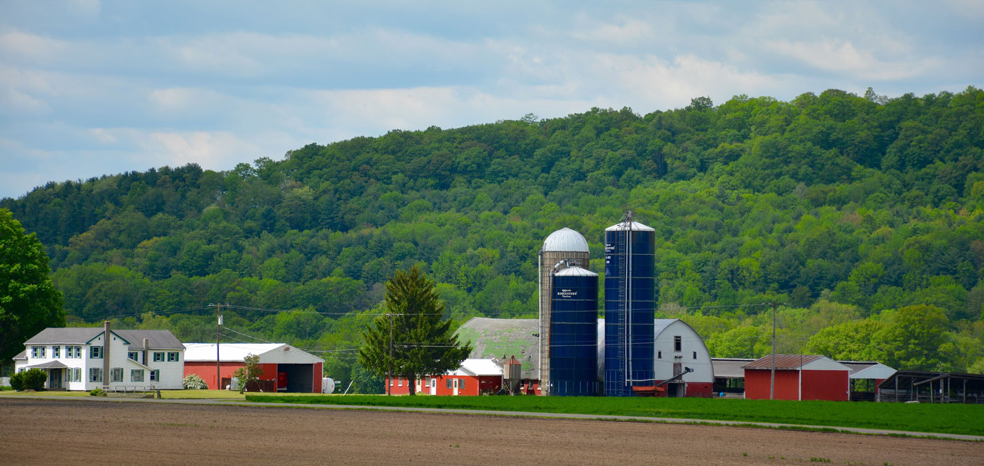 Dairy Farm - Town of Nichols